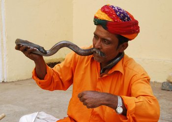Encantadores de serpientes